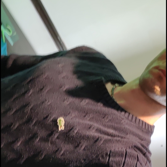 Lacoste pull - Picture 3 of 4